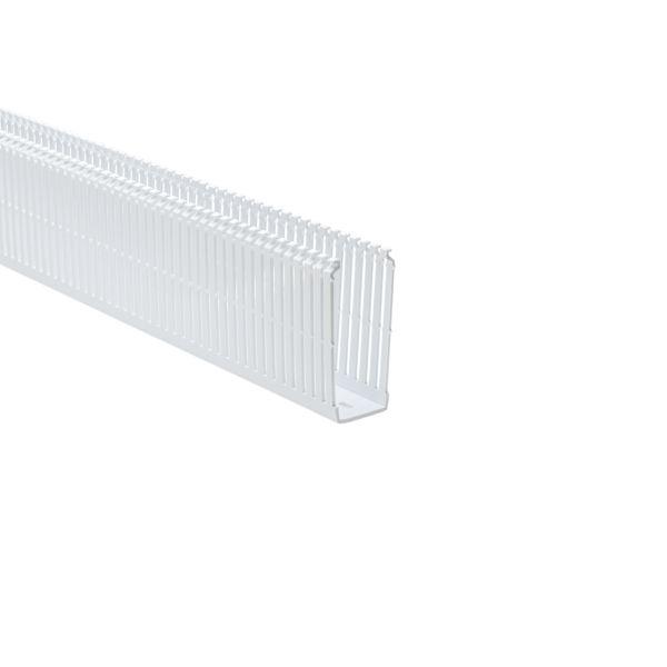 High Density Slotted Wall Duct, 184-15403 SLHD1.5X4W4