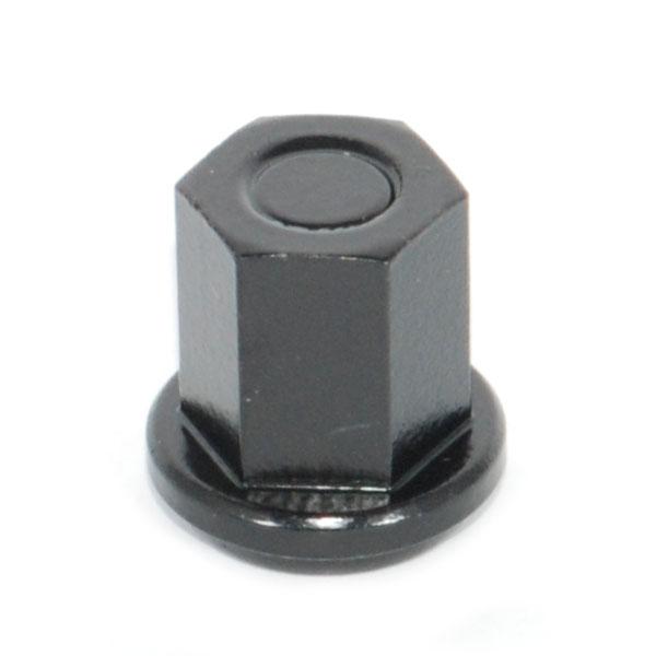 Battery Nuts, Closed Cap, Stainless Steel